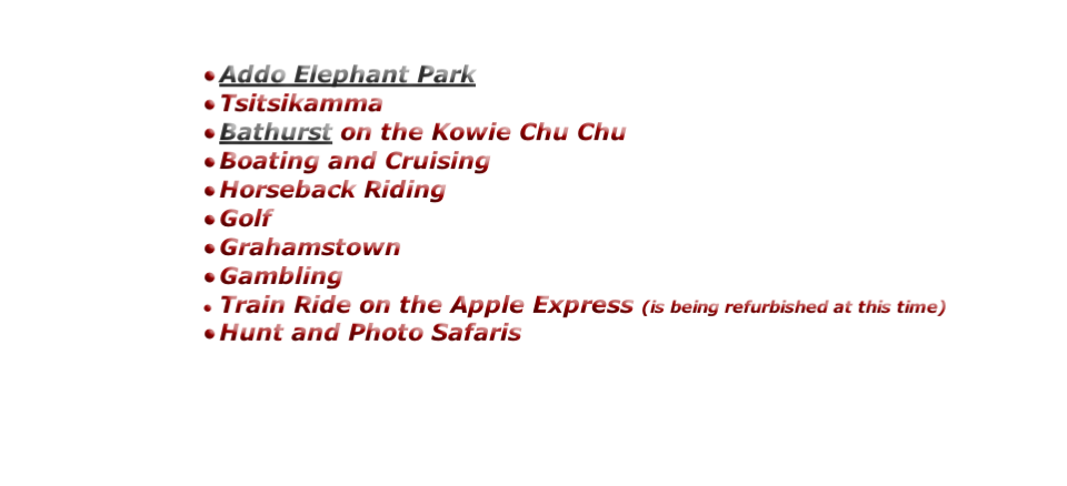 
Addo Elephant Park
Tsitsikamma
Bathurst on the Kowie Chu Chu
Boating and Cruising
Horseback Riding 
Golf
Grahamstown
Gambling
Train Ride on the Apple Express (is being refurbished at this time)
Hunt and Photo Safaris