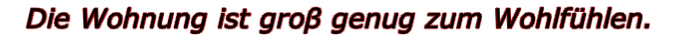 Die Wohnung ist groβ genug zum Wohlfühlen.