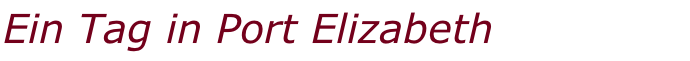 Ein Tag in Port Elizabeth